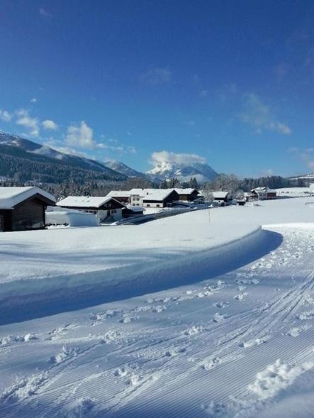 Hotel Almrausch Reit im Winkl Esterno foto